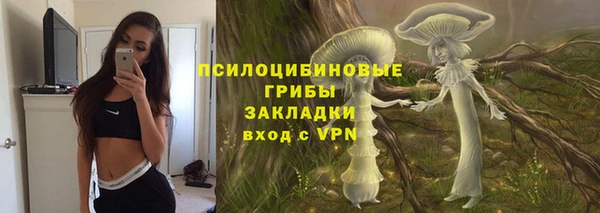 гашик Богородицк