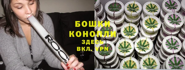 прущий лед Богданович
