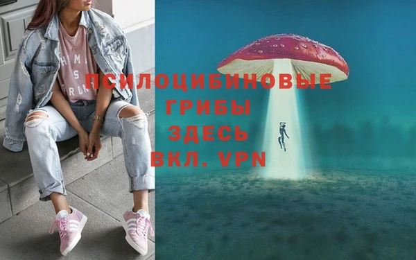 гашик Богородицк